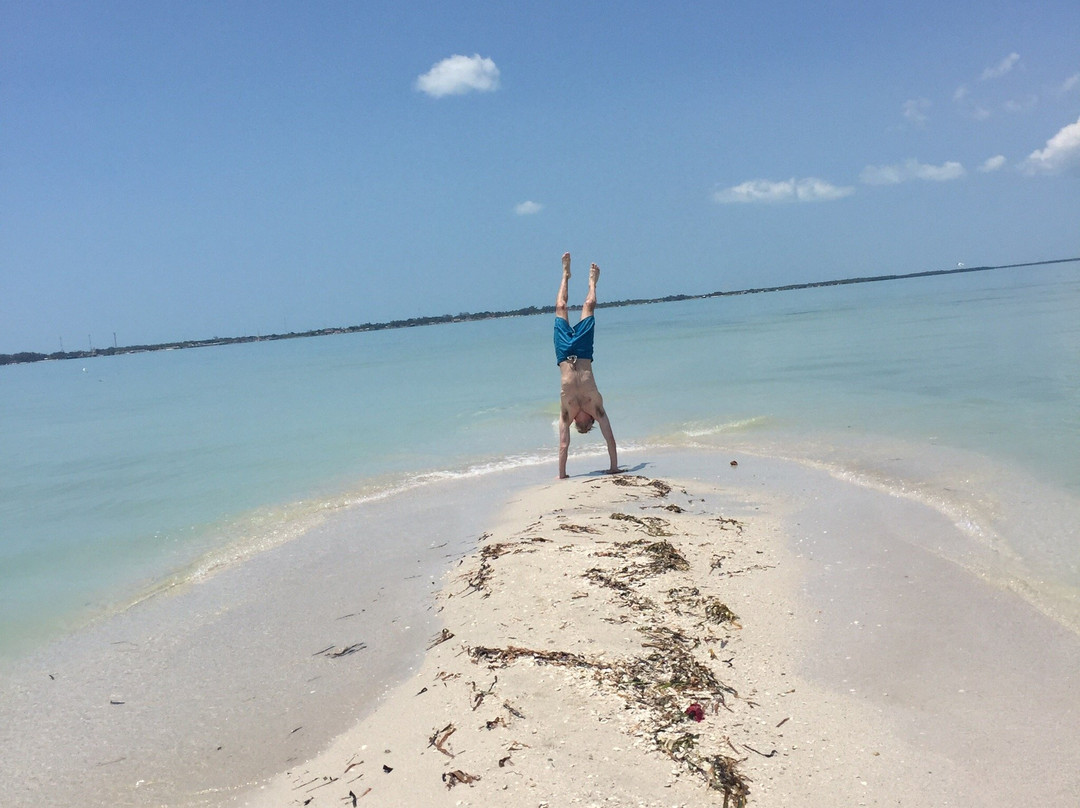 Agencia Palo de Tinte y Servicios-卡门城必去景点