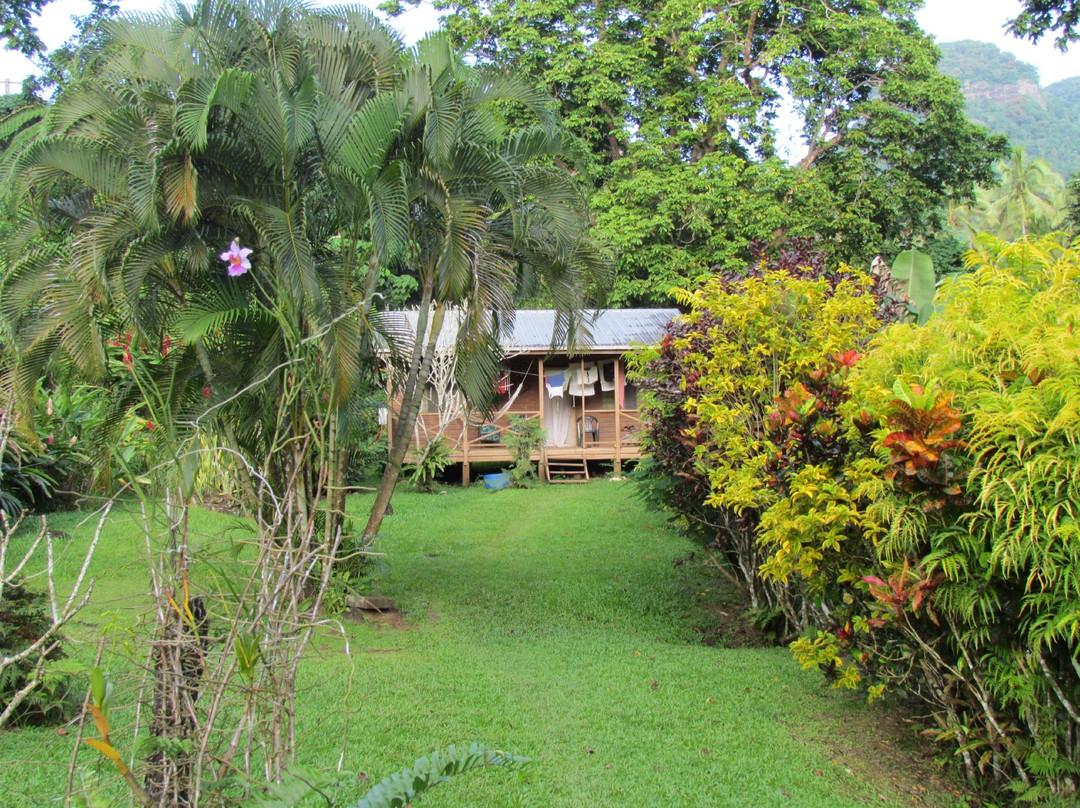 Bobo's Farm