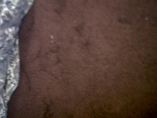 哥伦布套房酒店