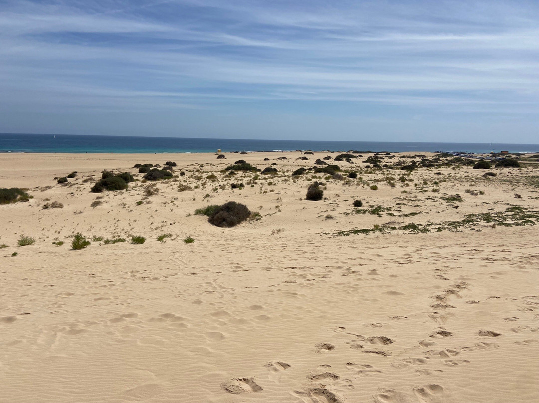 Dunas De Corrallejo景点图片