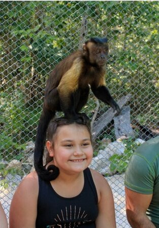The Spider Monkey Reserve-Punta Laguna必去景点