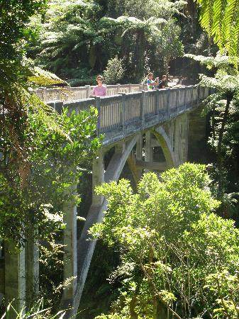 Whanganui River Adventures-Pipiriki必去景点