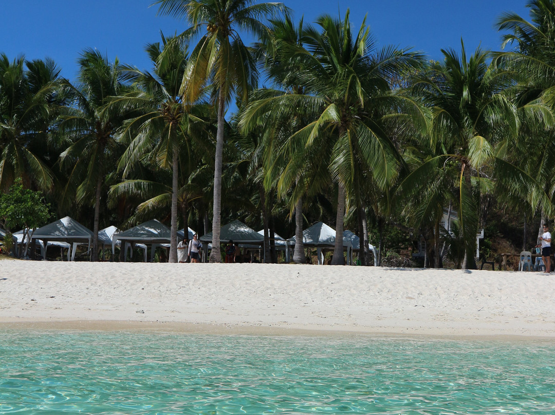 Malcapuya Island主图