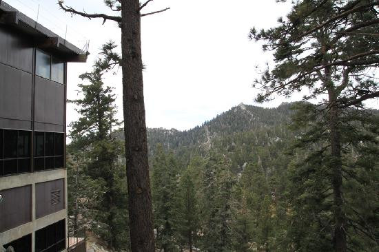 棕榈泉空中缆车-棕榈泉市必去景点