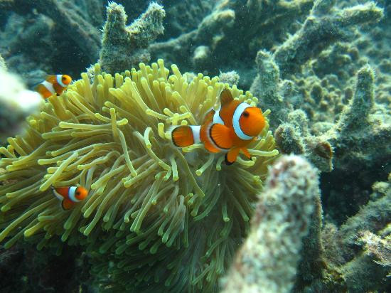 探险俱乐部-大皮皮岛必去景点