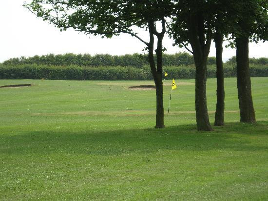 Filey Pitch and Putt景点图片