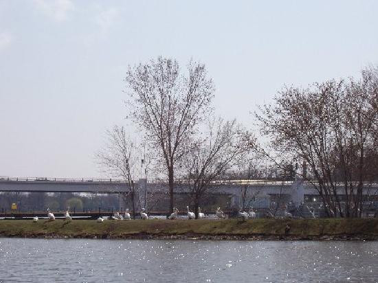 Bay Beach Wildlife Sanctuary-格林贝必去景点