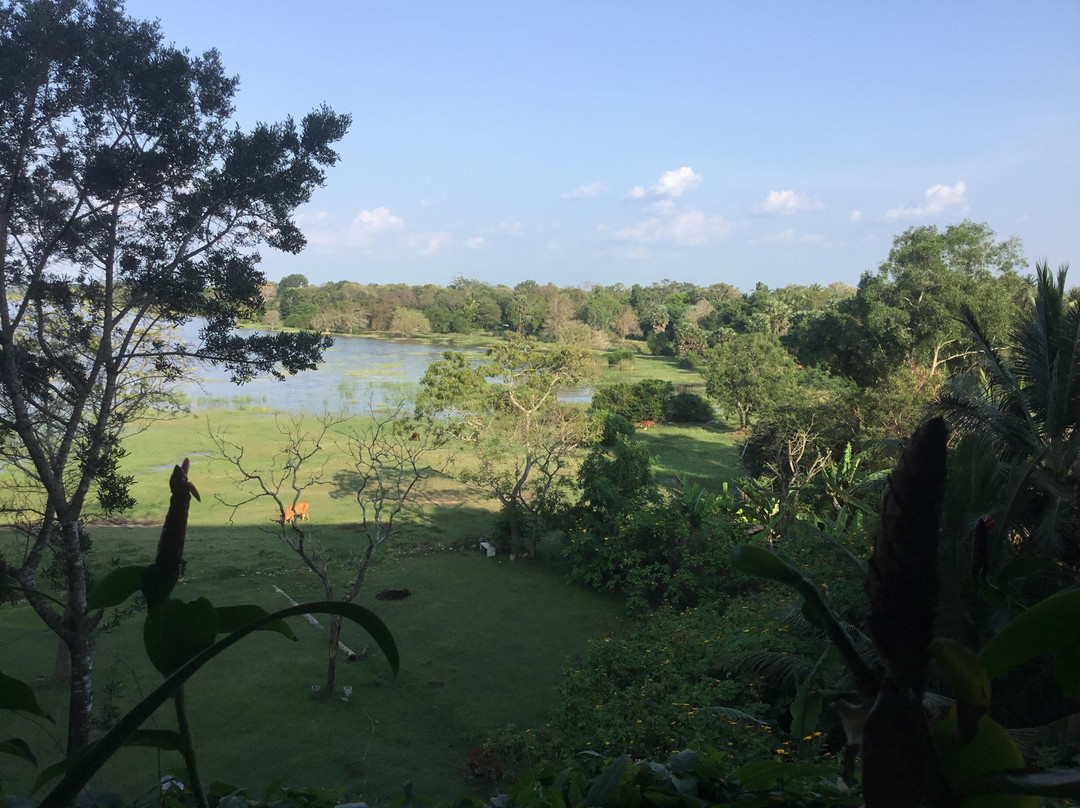 The Lake Forest Hotel主图