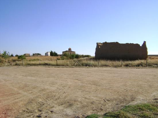 Reserva Natural de las Lagunas de Villafafila景点图片
