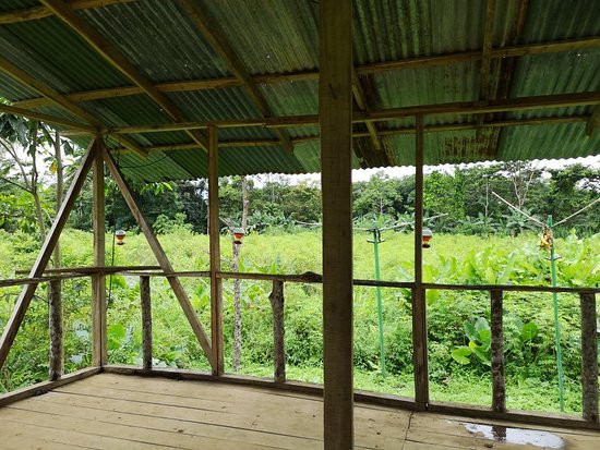 Redfrogteam Biological Station景点图片