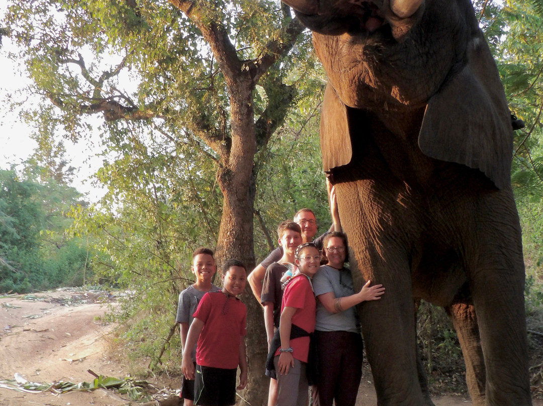 Red Africa Safaris-司库库札必去景点