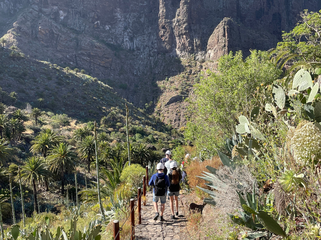 Natura Xtreme Tenerife-特纳里夫必去景点