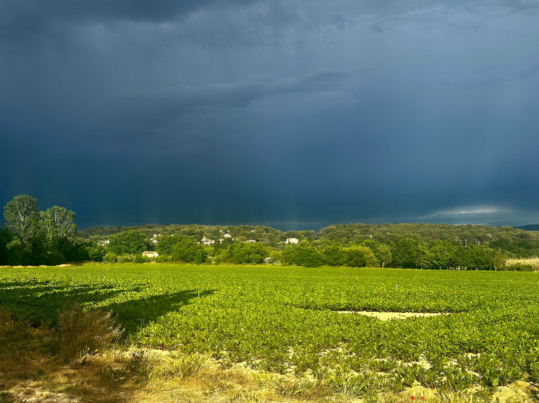 Hôtel La Perna主图