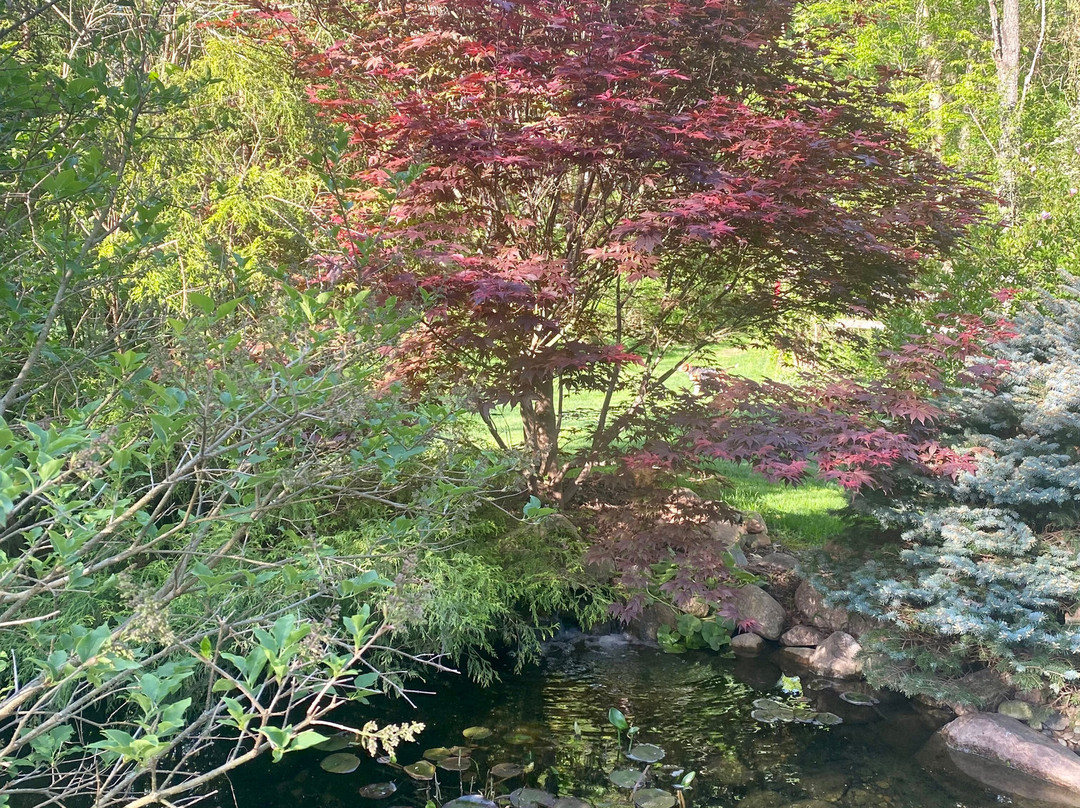 At Home In The Woods Bed And Breakfast主图