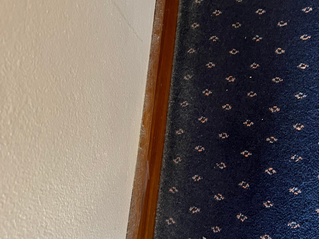 Alloggio Tudor Hamilton主图