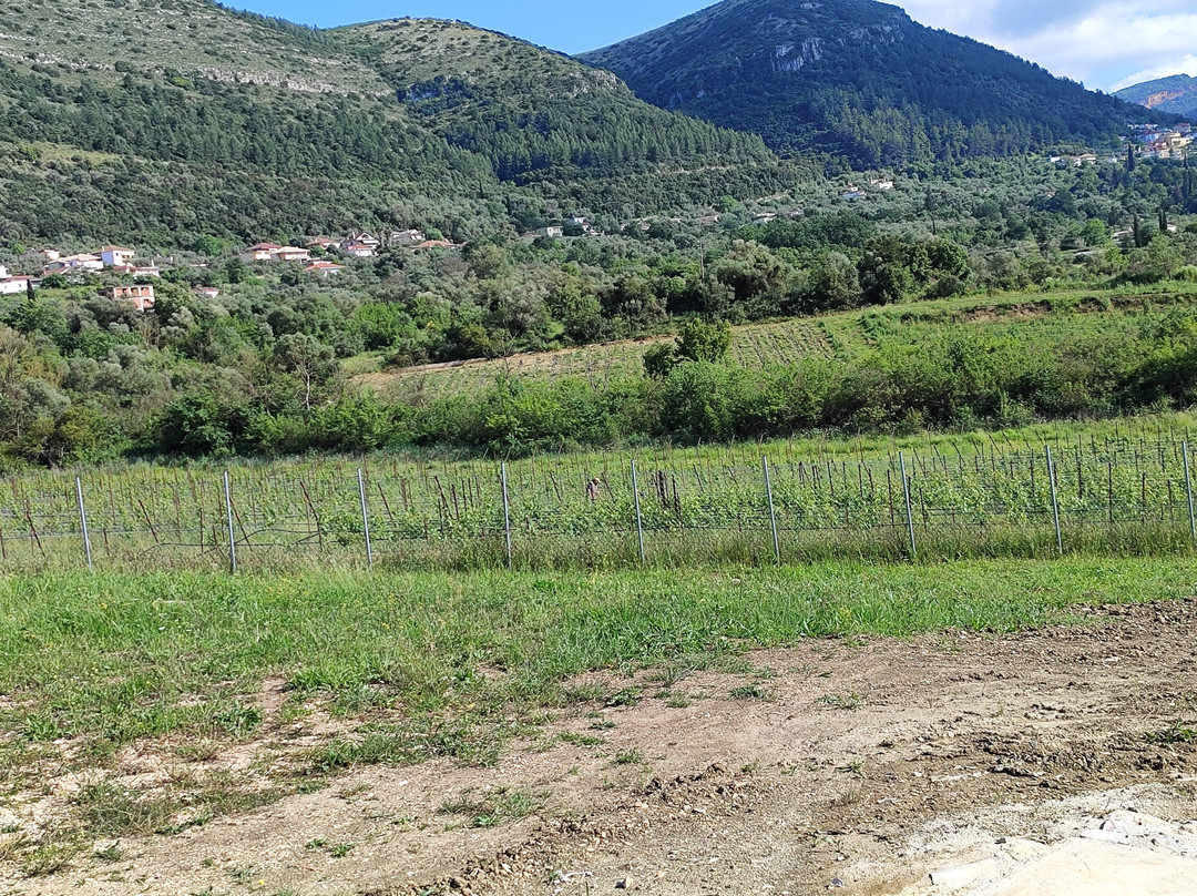 Zervas Winery