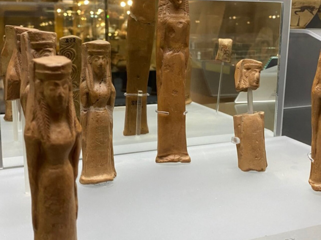 Museo dei Brettii e degli Enotri景点图片