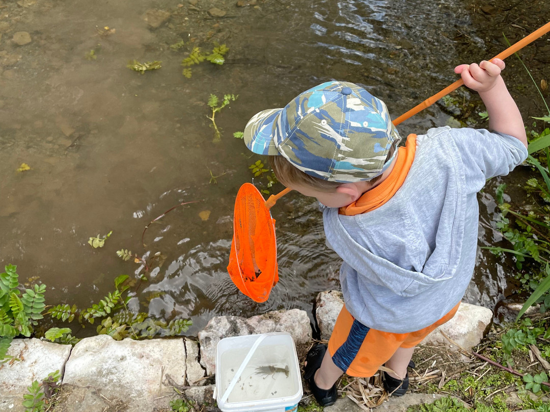 Le Petit Moulin主图