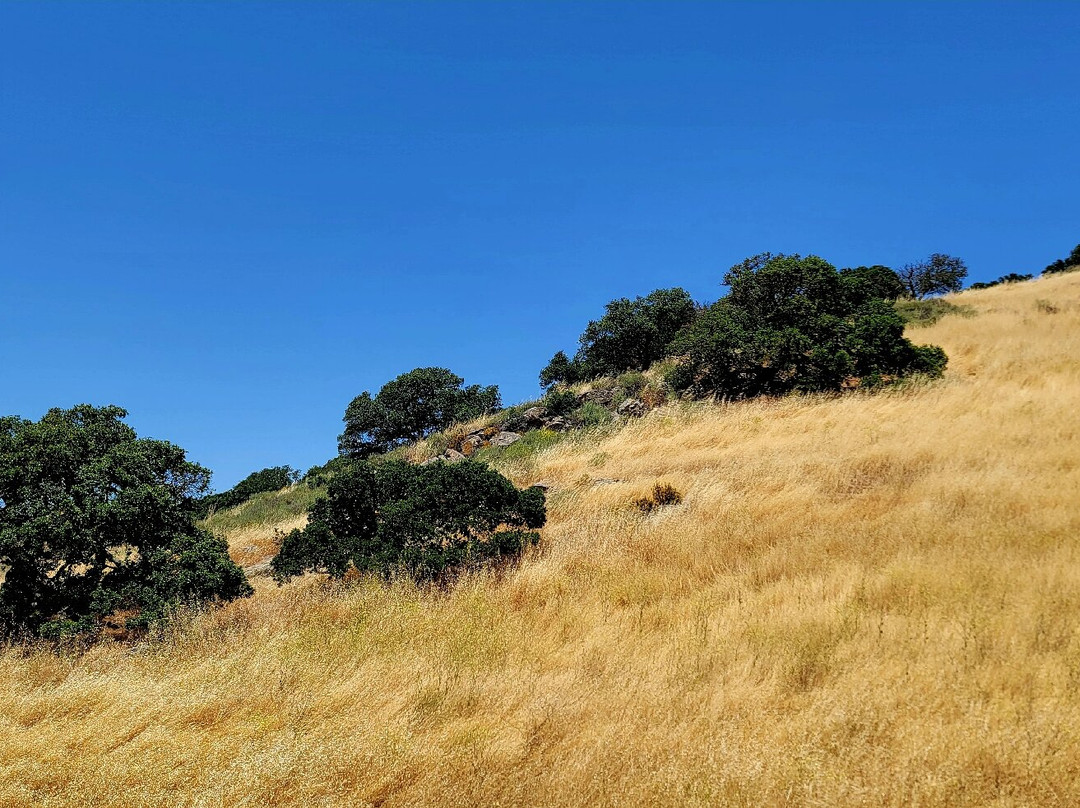 Brushy Peak Regional Preserve-利佛摩必去景点