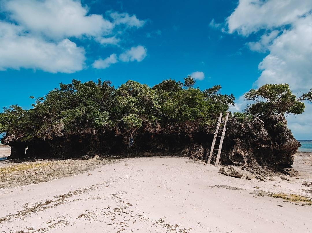 Pemba Tours-奔巴岛必去景点