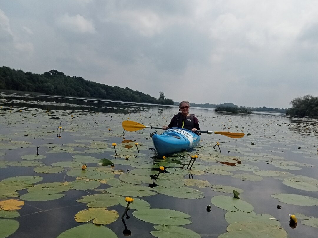 Lough Rynn Kayaking Tours景点图片