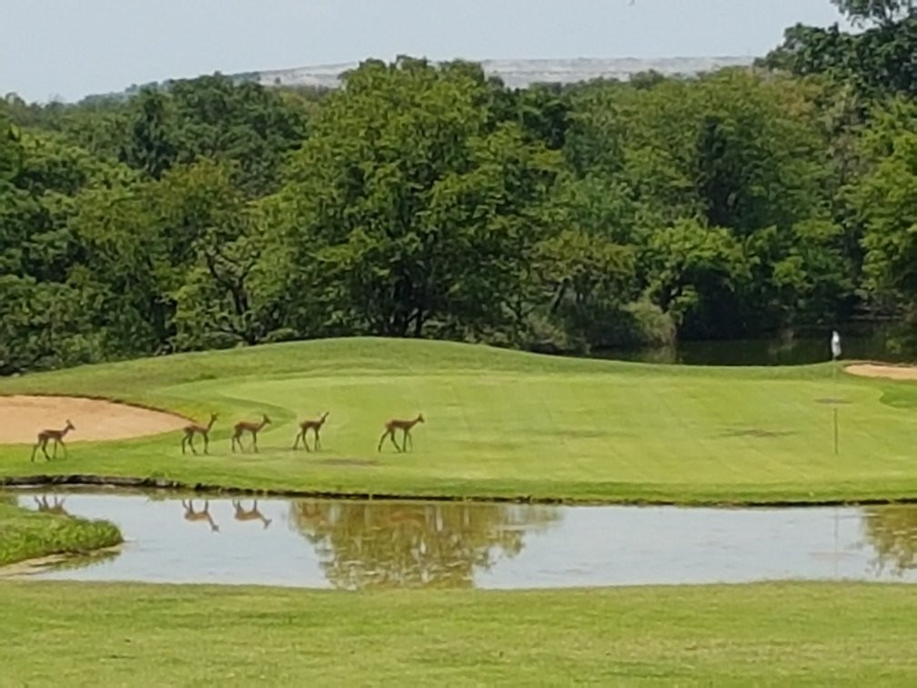 Hans Merensky Golf Course景点图片