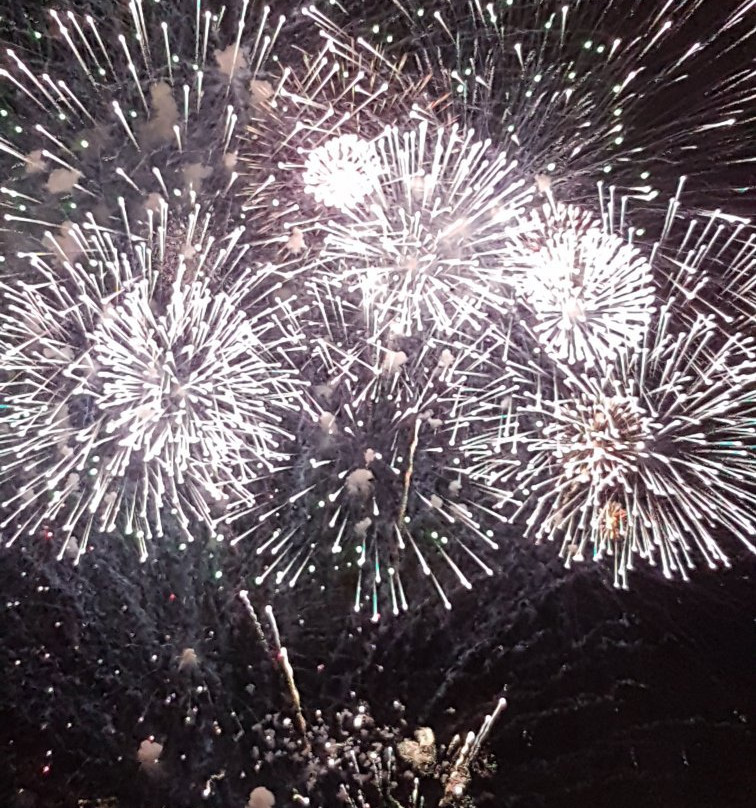 Port Stephens Coaches-安娜湾必去景点