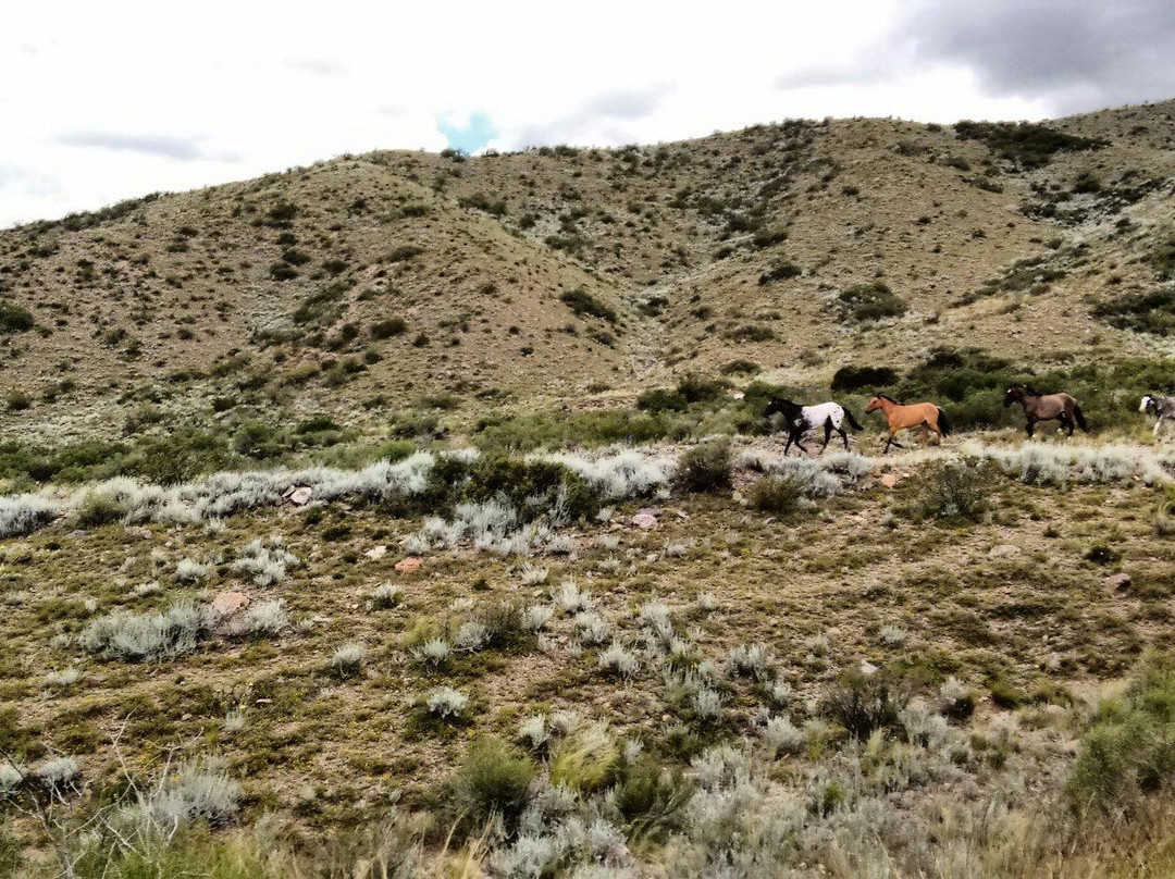 Cuatriciclos Potrerillos-Potrerillos必去景点