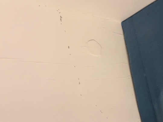 The Monkey Tree Hotel by AvantStay主图