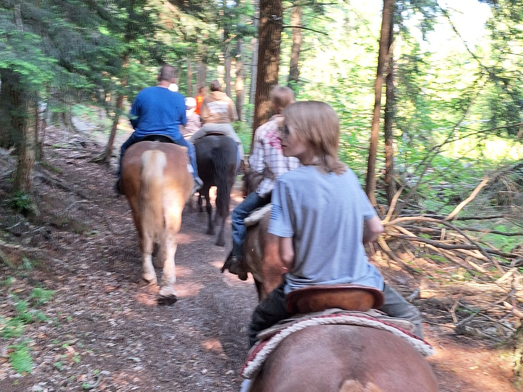 Stony Lake Stables-New Era必去景点