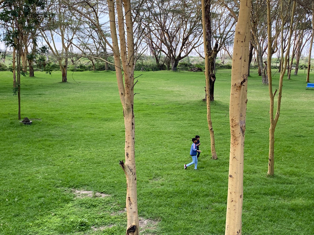 奈瓦沙索帕湖狮子木屋旅馆主图