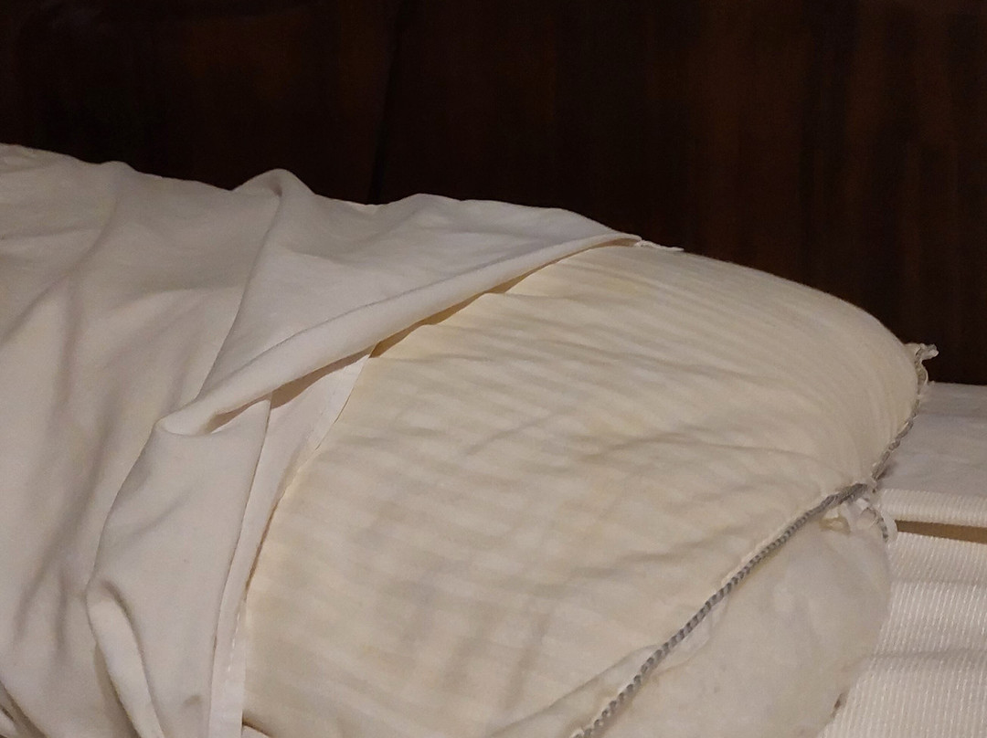 Hotel Cabañas del Parque主图