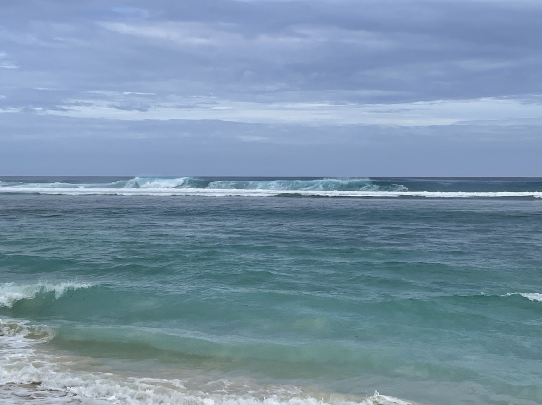 魔术金沙别墅主图