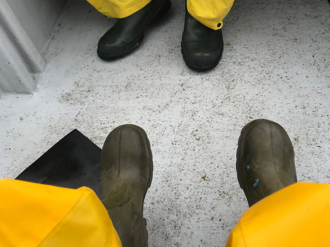 Fishing For Success At Island Rooms Of Petty Harbour-Petty Harbour必去景点