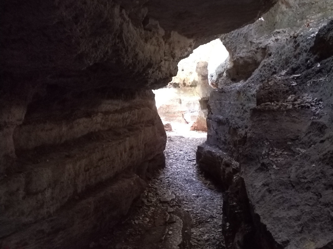 Paratge De les Estunes-Banyoles必去景点