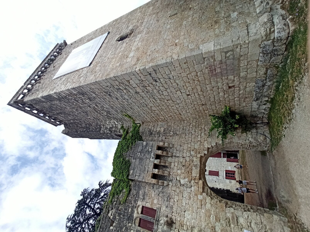 Chateau d'Eymet景点图片