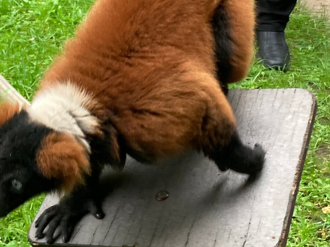 Tierpark Gettorf景点图片