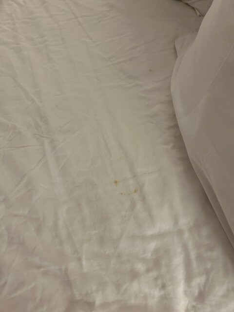 Hotel ZaZa Austin Downtown主图