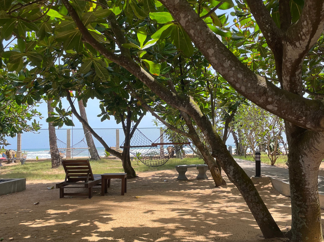 Roman Life Ayurveda Resort主图