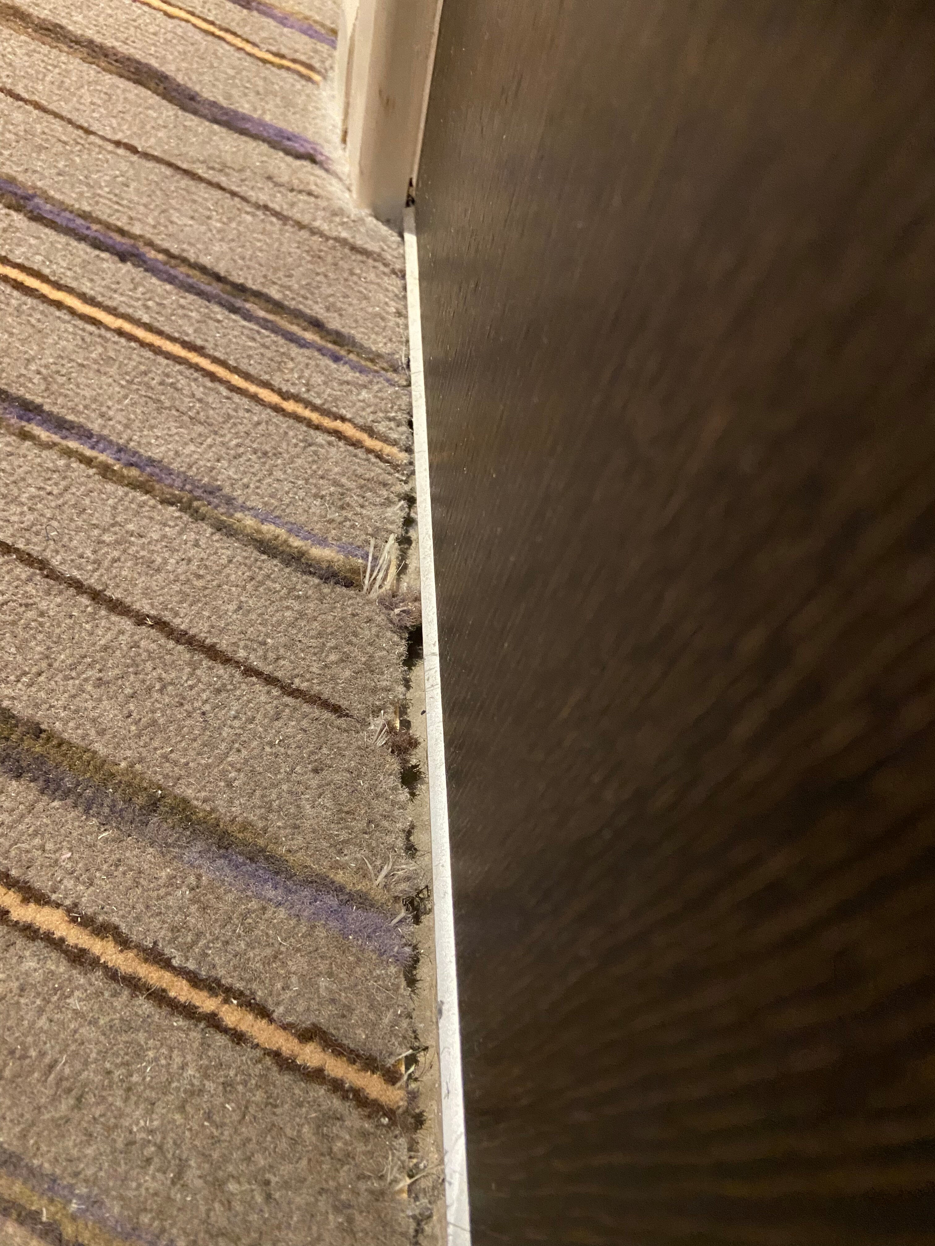 普瑞米尔伦敦赫恩德昂酒店(海德)-客卧