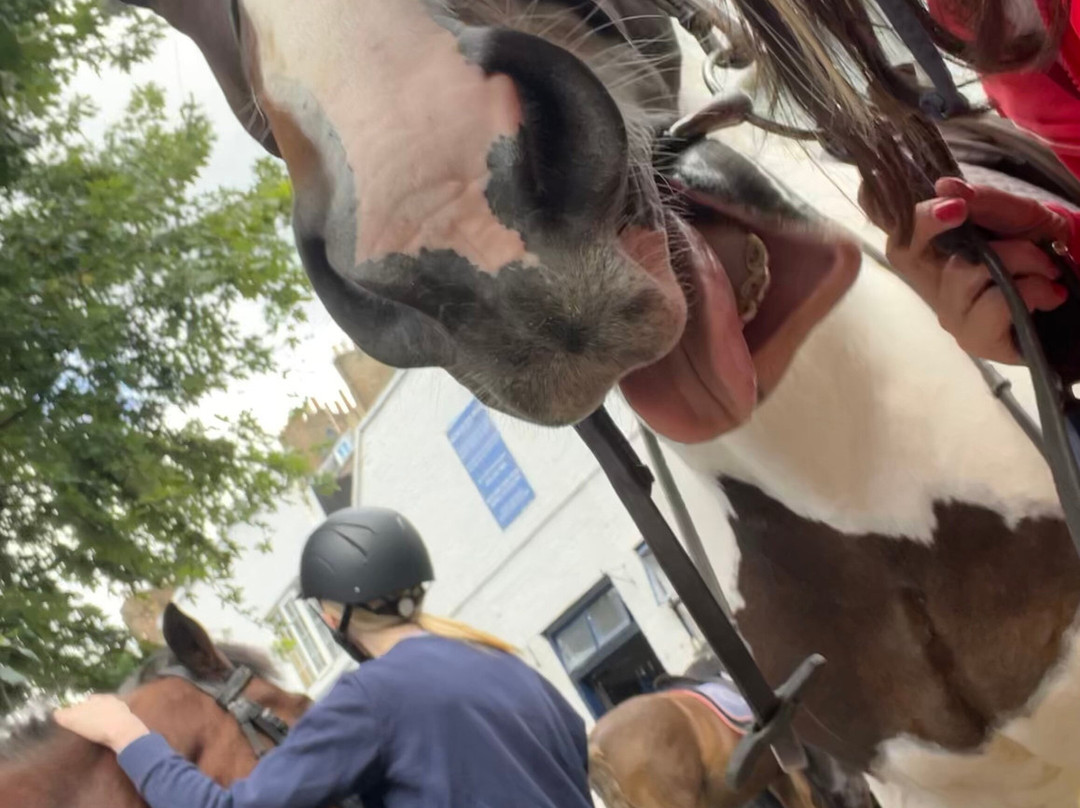 Ross Nye Stables-伦敦必去景点