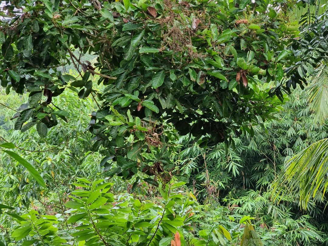 普瑞恒河度假酒店主图