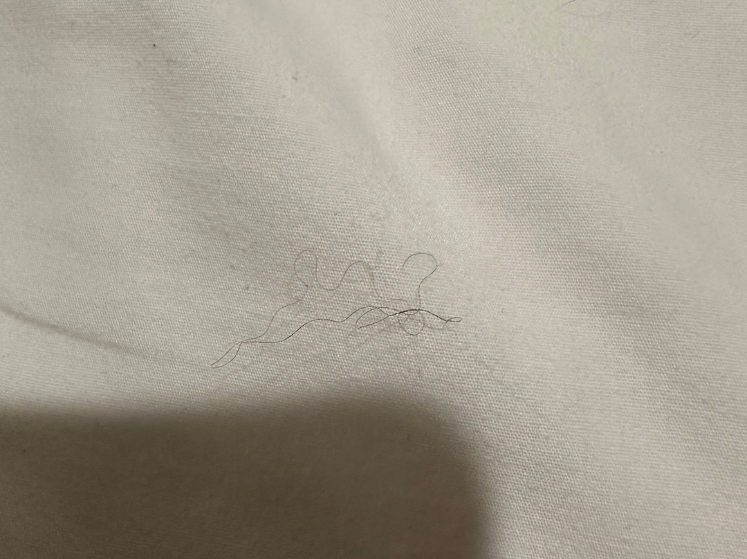 WoodSpring Suites Richmond Fort Lee主图