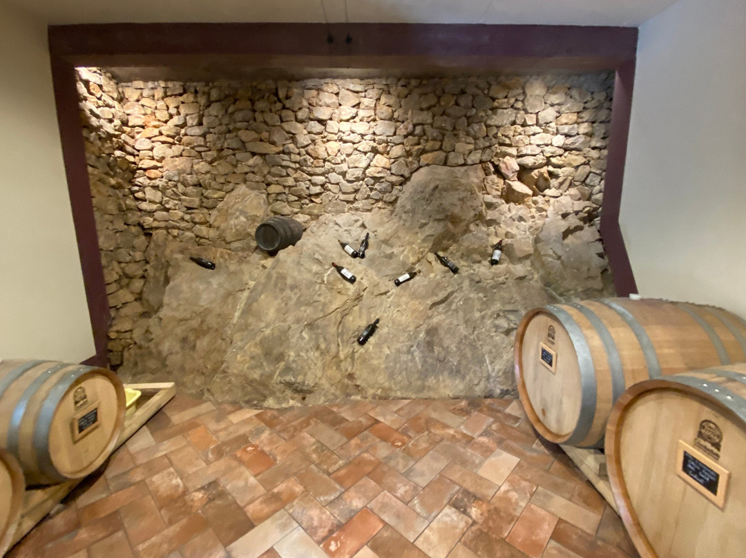 Lignanello Azienda Agricola-皮恩扎必去景点