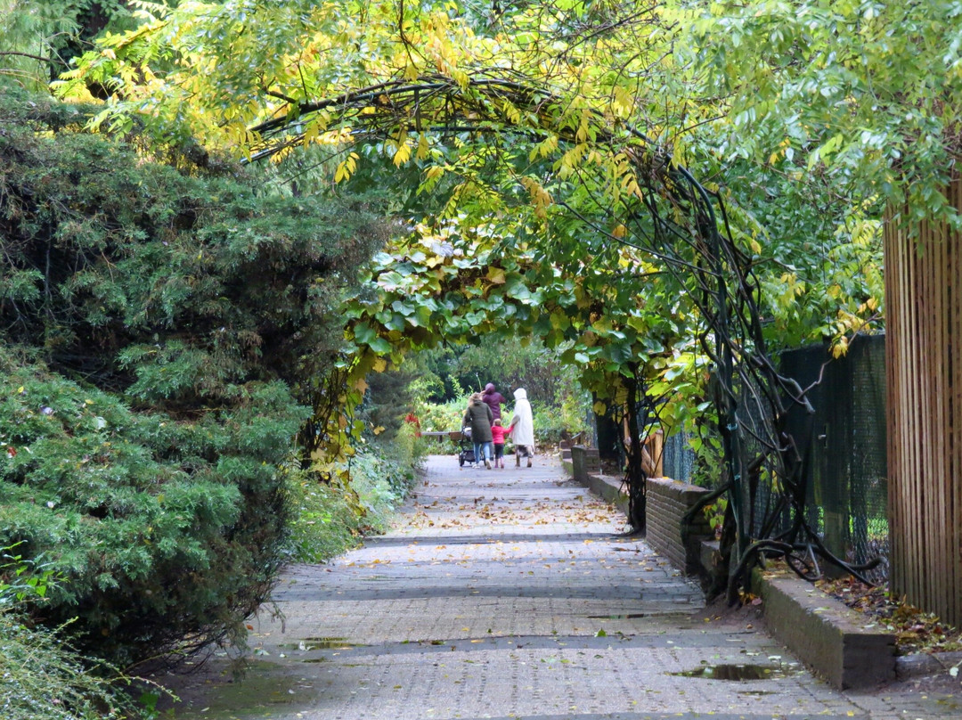 Vogelpark Avifauna-Alphen aan den Rijn必去景点