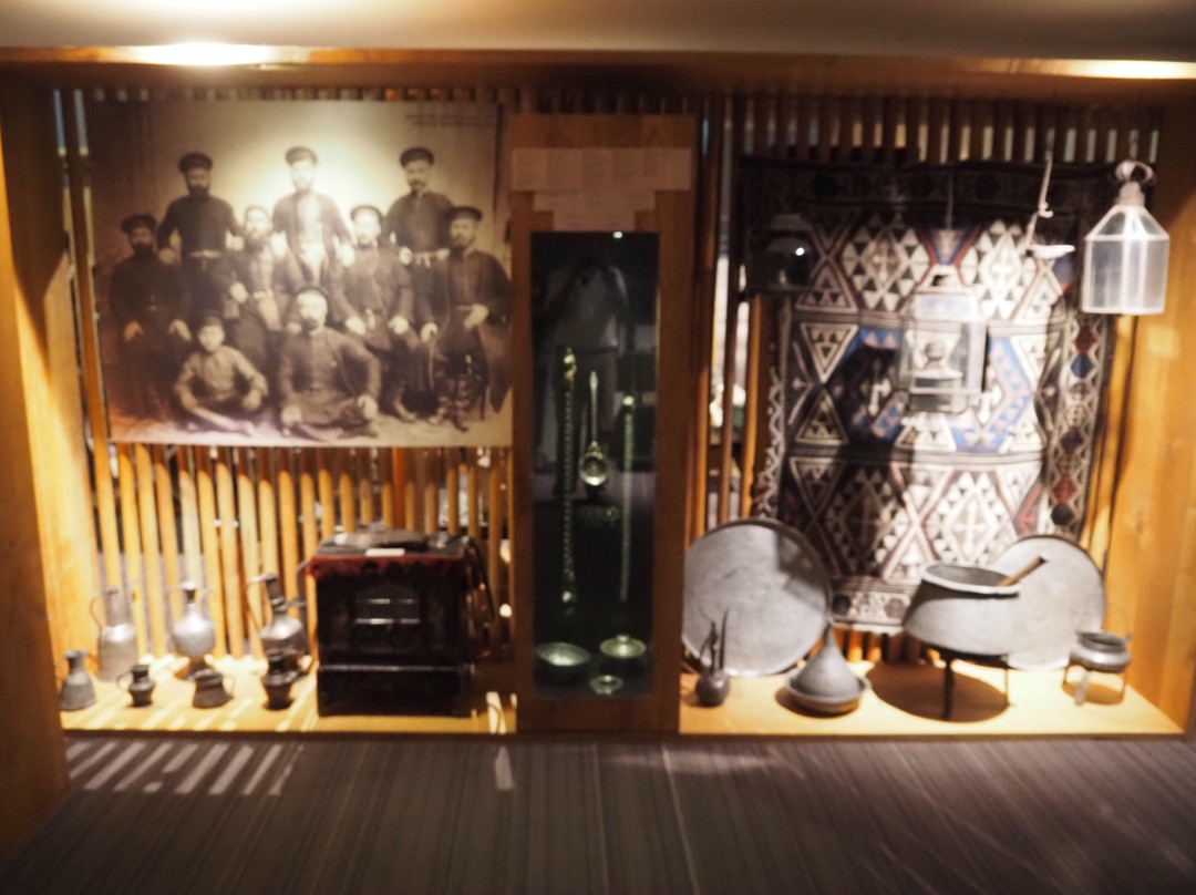 Telavi History Museum-Telavi必去景点