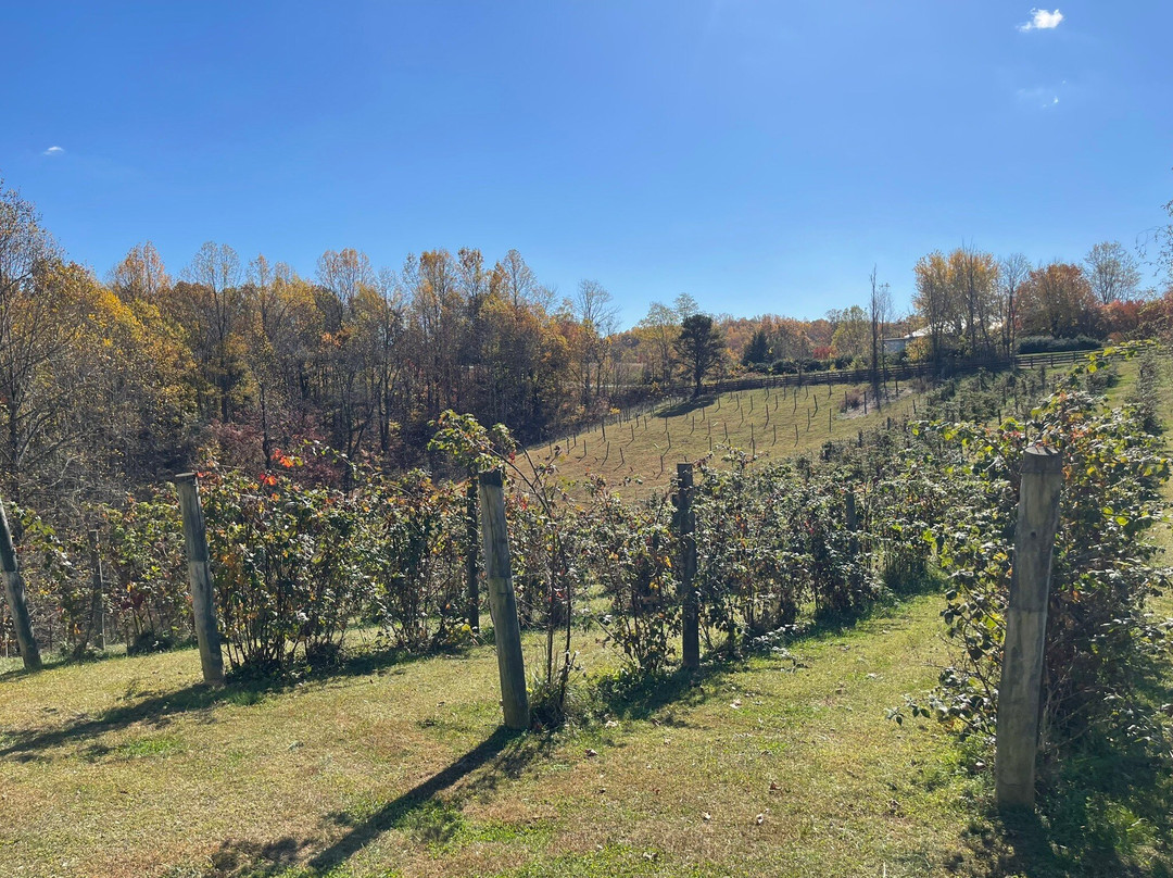 Hill Top Berry Farm & Winery-Nellysford必去景点