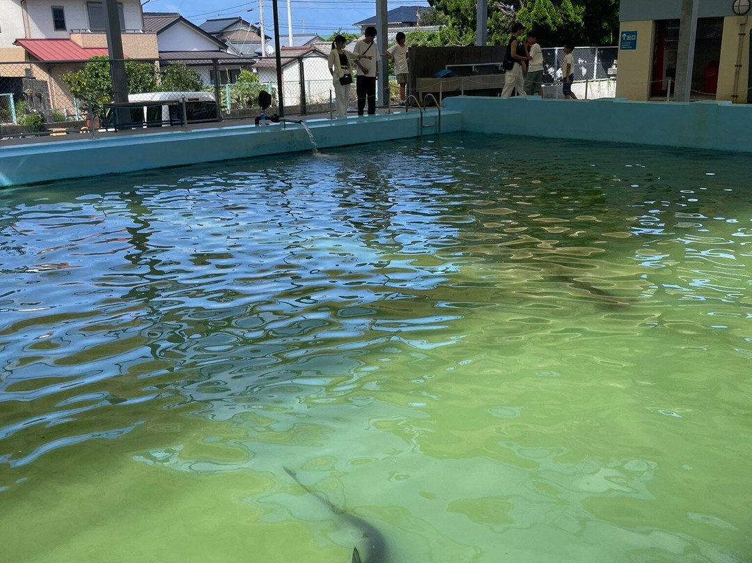 Muroto Haiko Aquarium-室户市必去景点