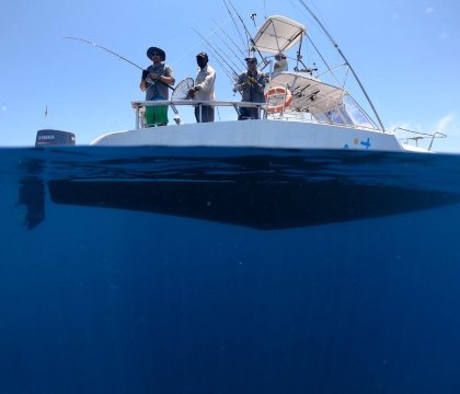 Situ Island Resort-官方