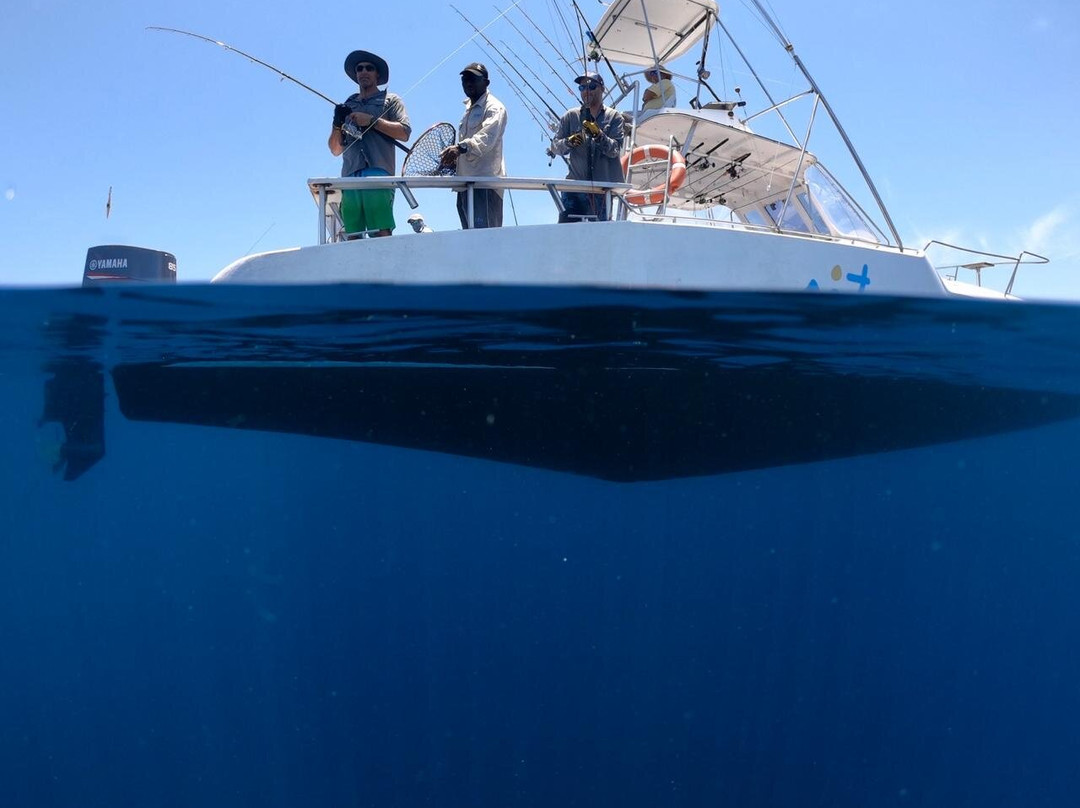 Situ Island Resort主图